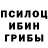 Псилоцибиновые грибы Magic Shrooms Eun Y