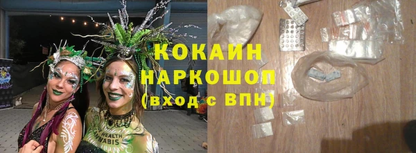 прущие грибы Богородицк