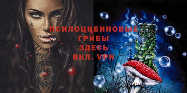 прущие грибы Богородицк