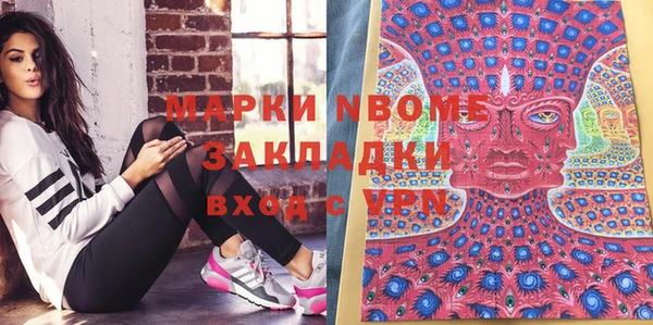 прущие грибы Богородицк