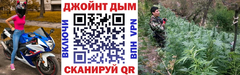 Купить где Дно Конопля OG Kush